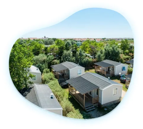 bulle_solutions-collectivites